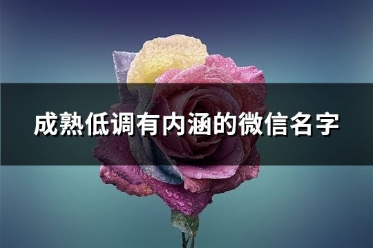 成熟低调有内涵的微信名字(精选859个)