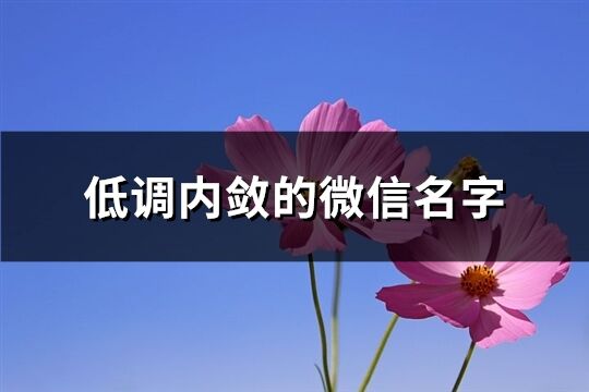 低调内敛的微信名字(730个)