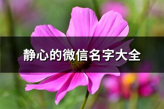 静心的微信名字大全(共104个)