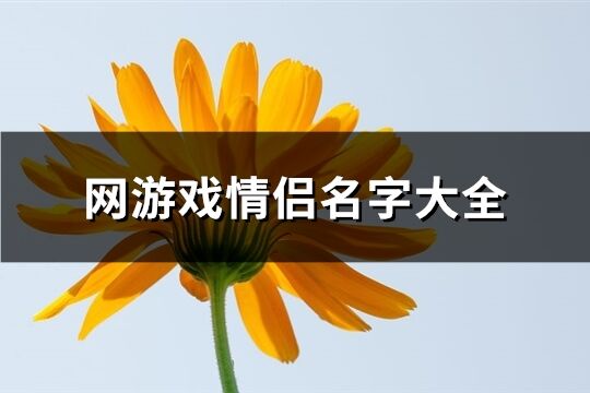 网游戏情侣名字大全(优选76个)