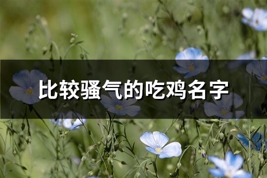 比较骚气的吃鸡名字(精选326个)