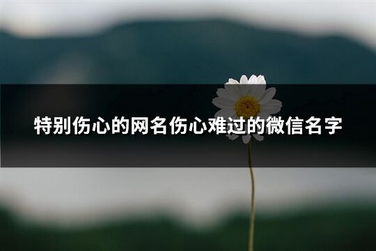 特别伤心的网名伤心难过的微信名字(431个)