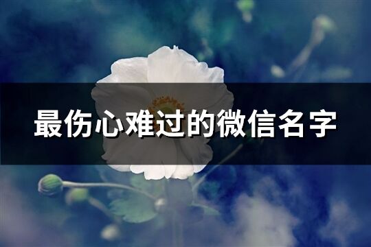 最伤心难过的微信名字(优选630个)