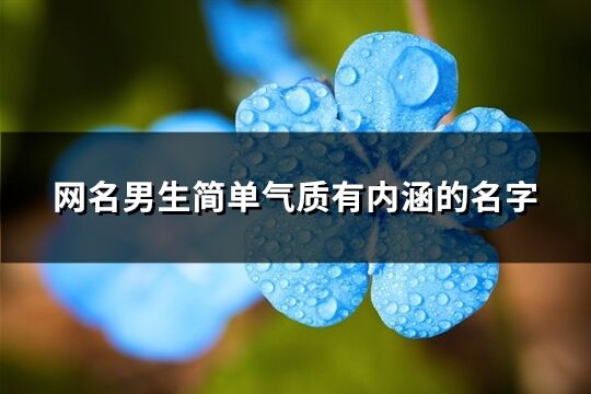 网名男生简单气质有内涵的名字(优选428个)