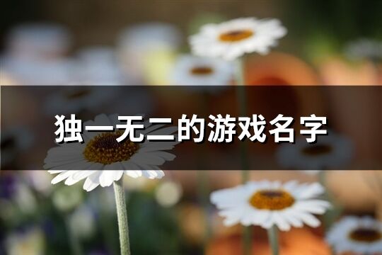 独一无二的游戏名字(共530个)