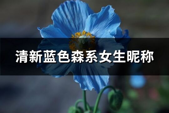 清新蓝色森系女生昵称(144个)