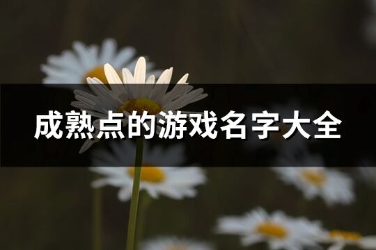 成熟点的游戏名字大全(555个)