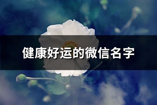 健康好运的微信名字(共654个)