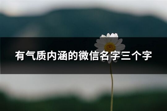 有气质内涵的微信名字三个字(精选698个)