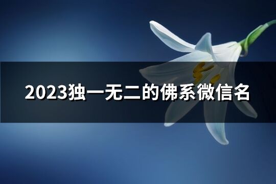 2023独一无二的佛系微信名(精选1630个)