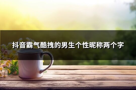 抖音霸气酷拽的男生个性昵称两个字(精选857个)