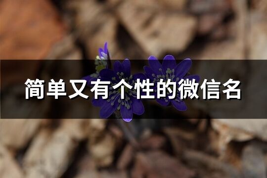 简单又有个性的微信名(521个)