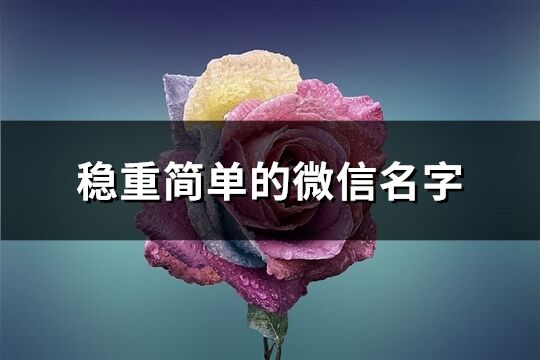 稳重简单的微信名字(优选417个)