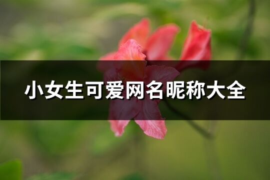 小女生可爱网名昵称大全(优选398个)