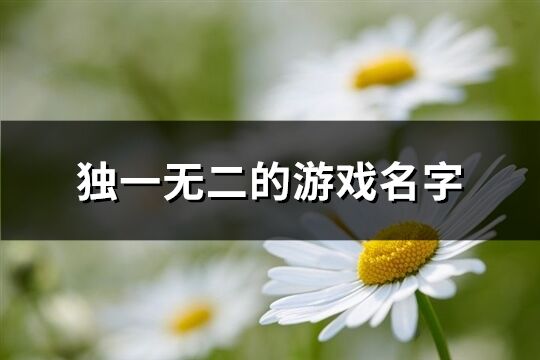 独一无二的游戏名字(优选626个)