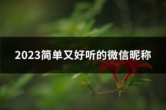 2023简单又好听的微信昵称(优选756个)