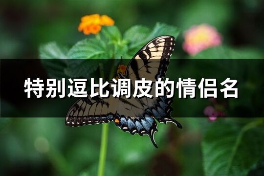 特别逗比调皮的情侣名(优选66个)