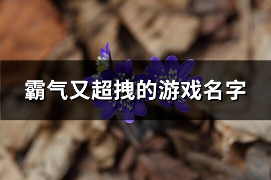 霸气又超拽的游戏名字(共642个)