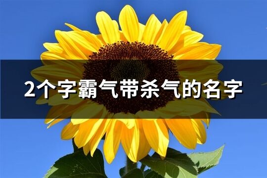 2个字霸气带杀气的名字(1114个)