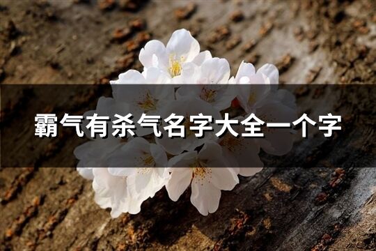 霸气有杀气名字大全一个字(优选105个)