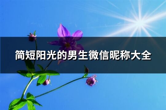 简短阳光的男生微信昵称大全(105个)