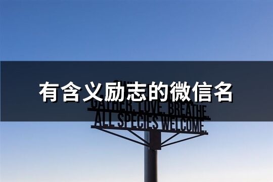 有含义励志的微信名(优选253个)