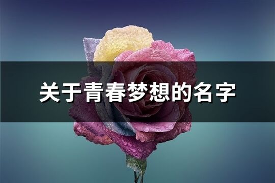 关于青春梦想的名字(优选87个)