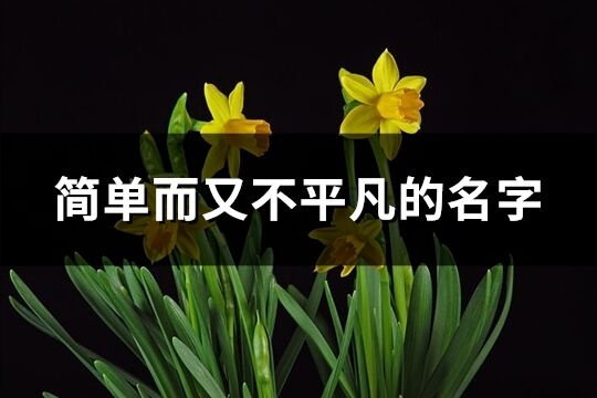 简单而又不平凡的名字(精选83个)