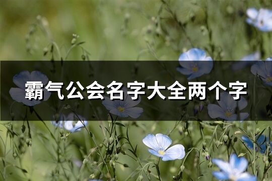 霸气公会名字大全两个字(优选164个)