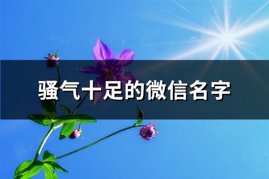 骚气十足的微信名字(优选180个)