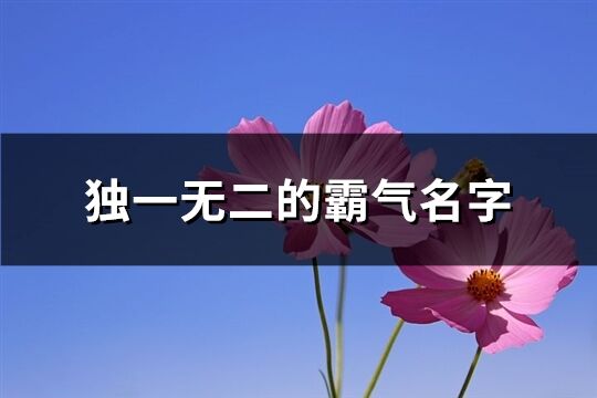 独一无二的霸气名字(精选306个)