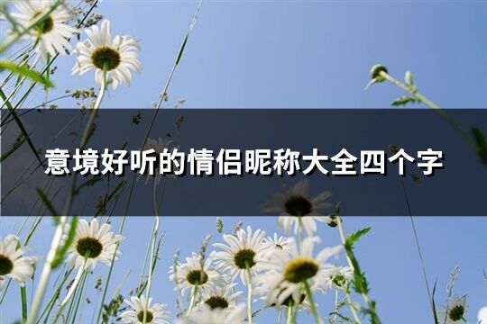 意境好听的情侣昵称大全四个字(287个)