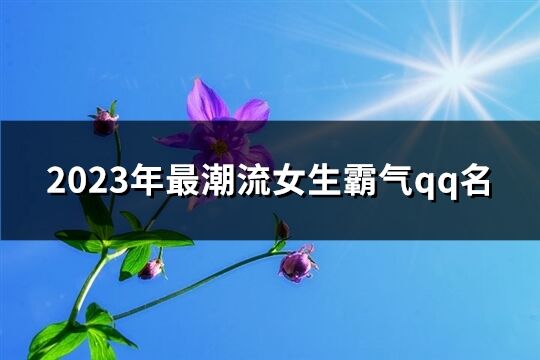 2023年最潮流女生霸气qq名(共201个)