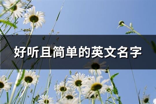 好听且简单的英文名字(优选79个)