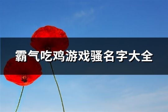 霸气吃鸡游戏骚名字大全(精选232个)