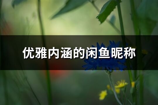 优雅内涵的闲鱼昵称(优选167个)