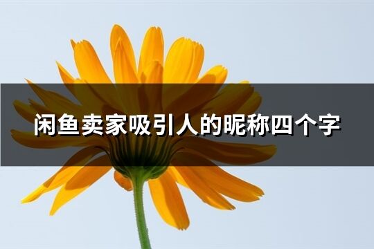 闲鱼卖家吸引人的昵称四个字(共271个)