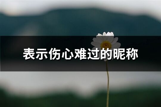 表示伤心难过的昵称(666个)