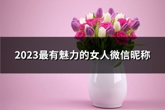 2023最有魅力的女人微信昵称(优选550个)