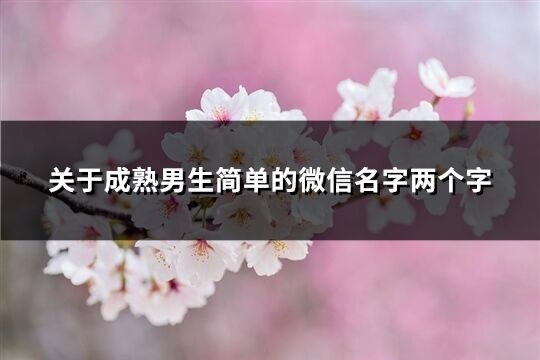 关于成熟男生简单的微信名字两个字(916个)