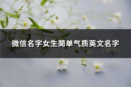 微信名字女生简单气质英文名字(优选114个)