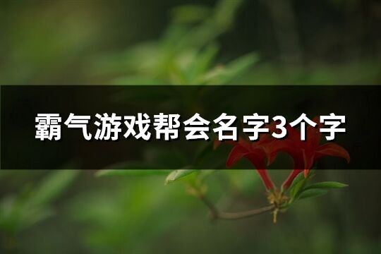 霸气游戏帮会名字3个字(共317个)