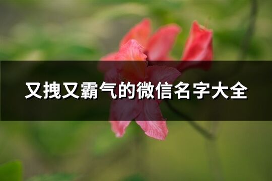 又拽又霸气的微信名字大全(优选261个)