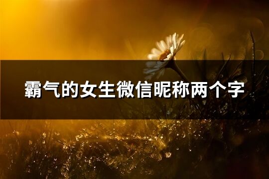 霸气的女生微信昵称两个字(优选670个)