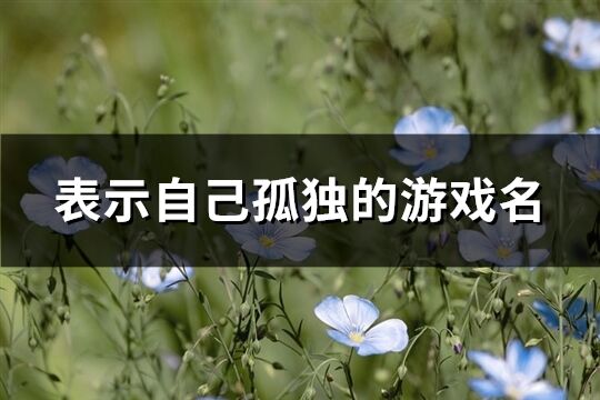 表示自己孤独的游戏名(优选209个)