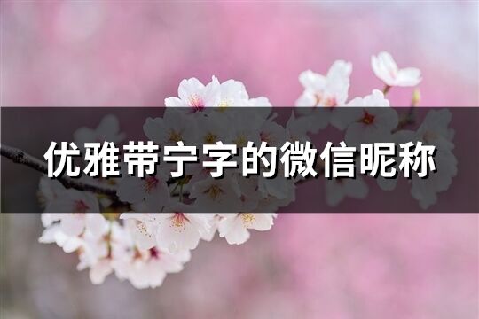 优雅带宁字的微信昵称(共65个)