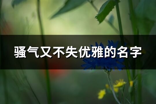 骚气又不失优雅的名字(优选371个)