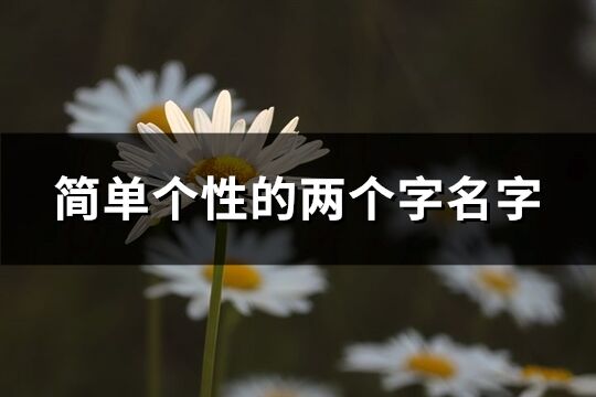 简单个性的两个字名字(共2518个)