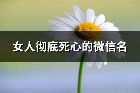 女人彻底死心的微信名(共120个)