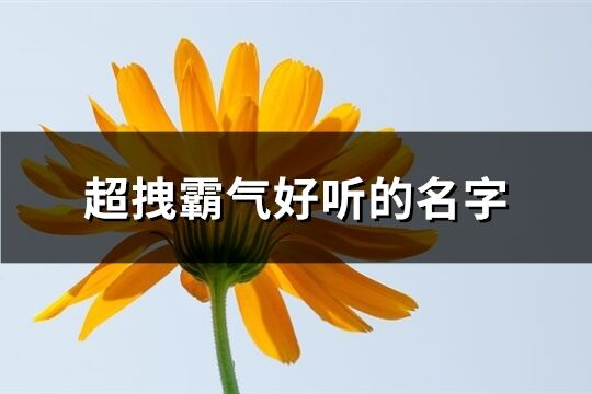 超拽霸气好听的名字(726个)